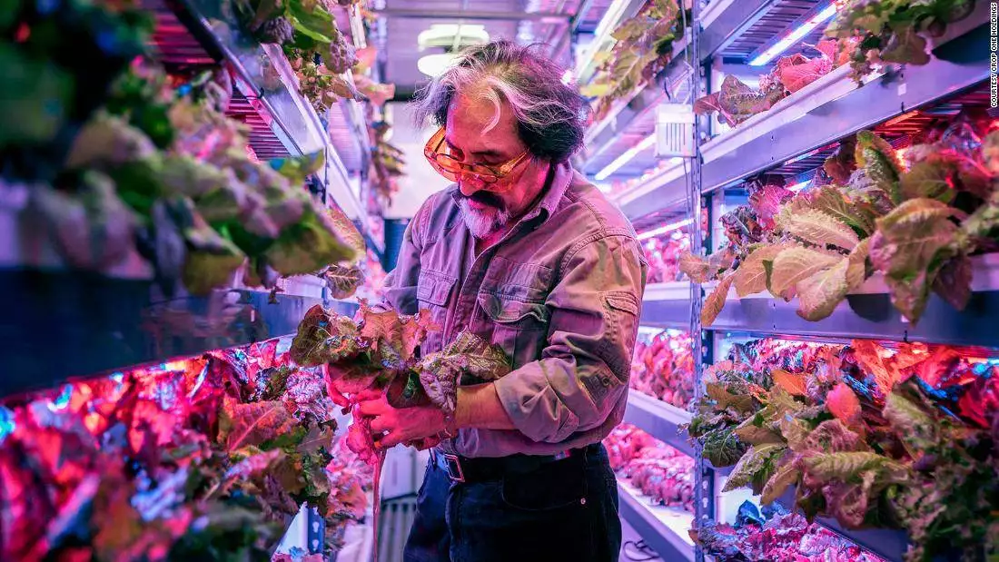 Dubai to get ‘world’s largest vertical farm’