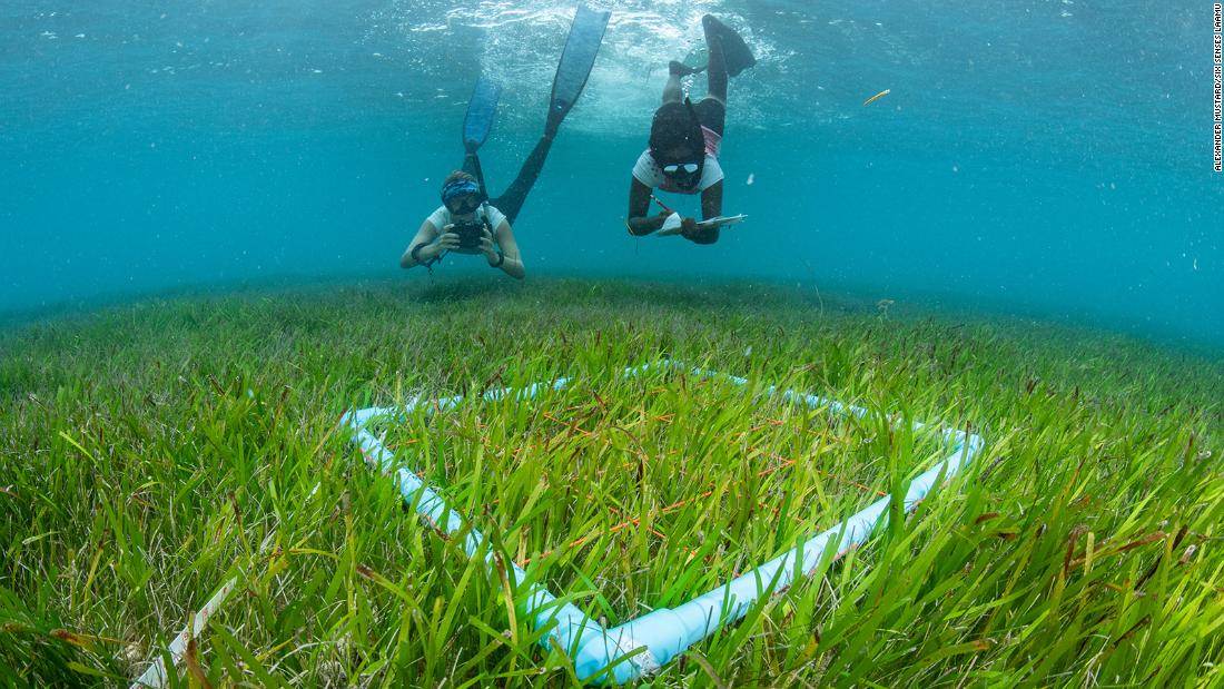 These Maldives resorts are leading the charge on sustainability