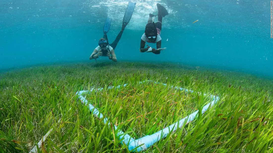 These Maldives resorts are leading the charge on sustainability