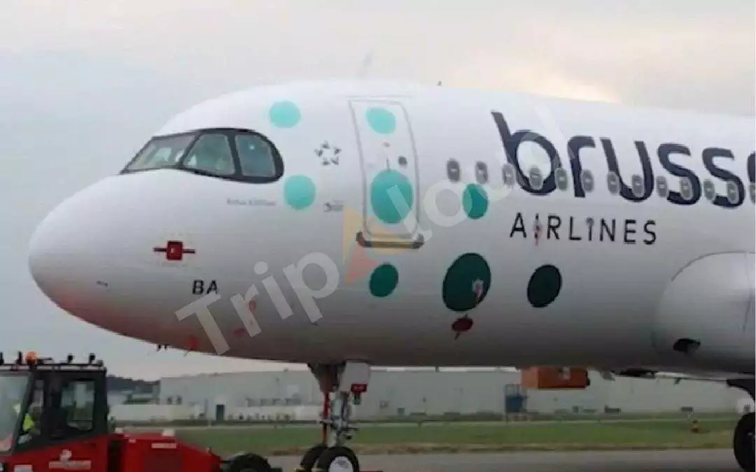 An Unforgettable Experience Flying with Brussels Airlines