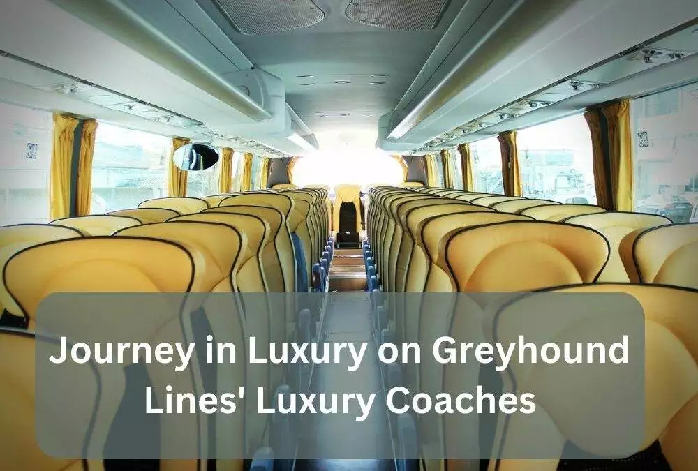 Journey in Luxury on Greyhound Lines’ Luxury Coaches