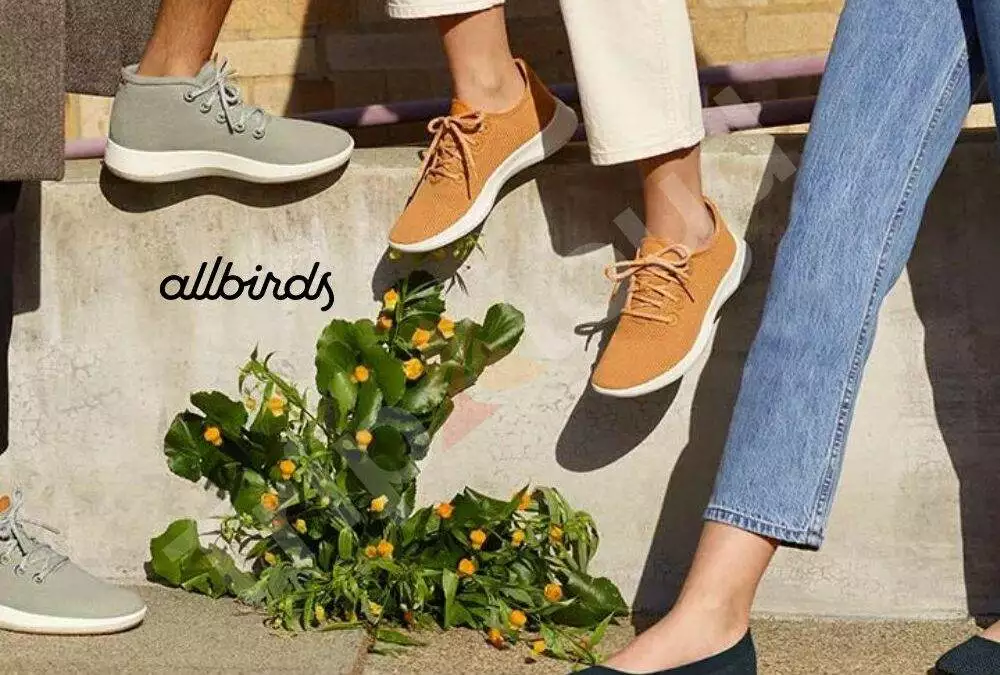 Discovering Your Best Match From Allbirds’ Footwear Collection for Women