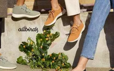 Discovering Your Best Match From Allbirds’ Footwear Collection for Women